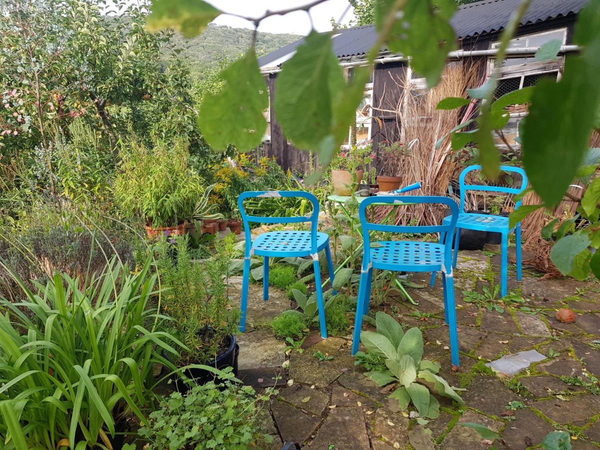 Missel Dene Hotel Rodney Stoke Esterno foto